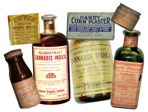 Cannabis Has Been Used For Medicinal Purposes For Centuries.