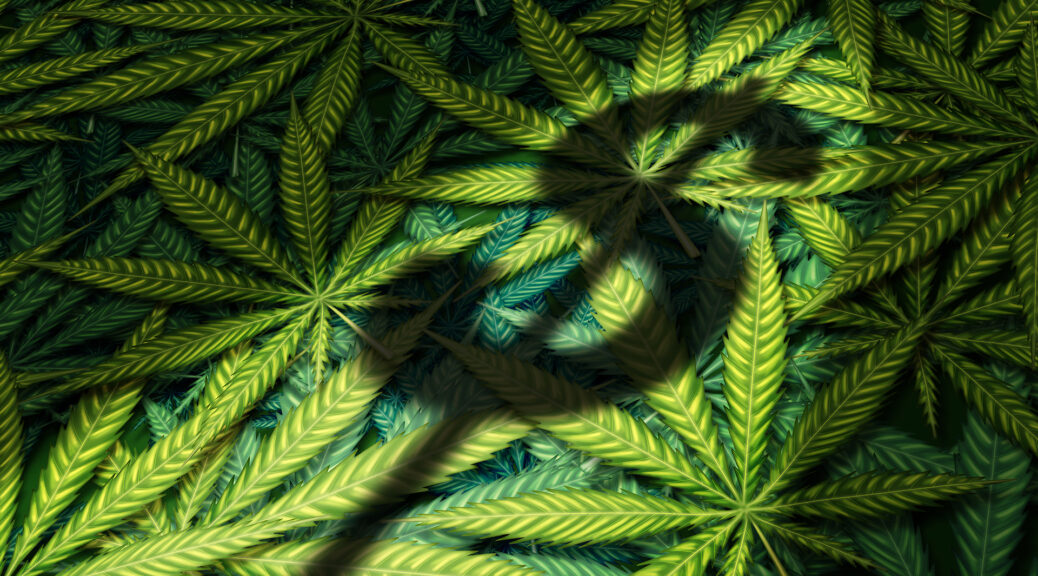 Interesting Facts About The Cannabis Industry